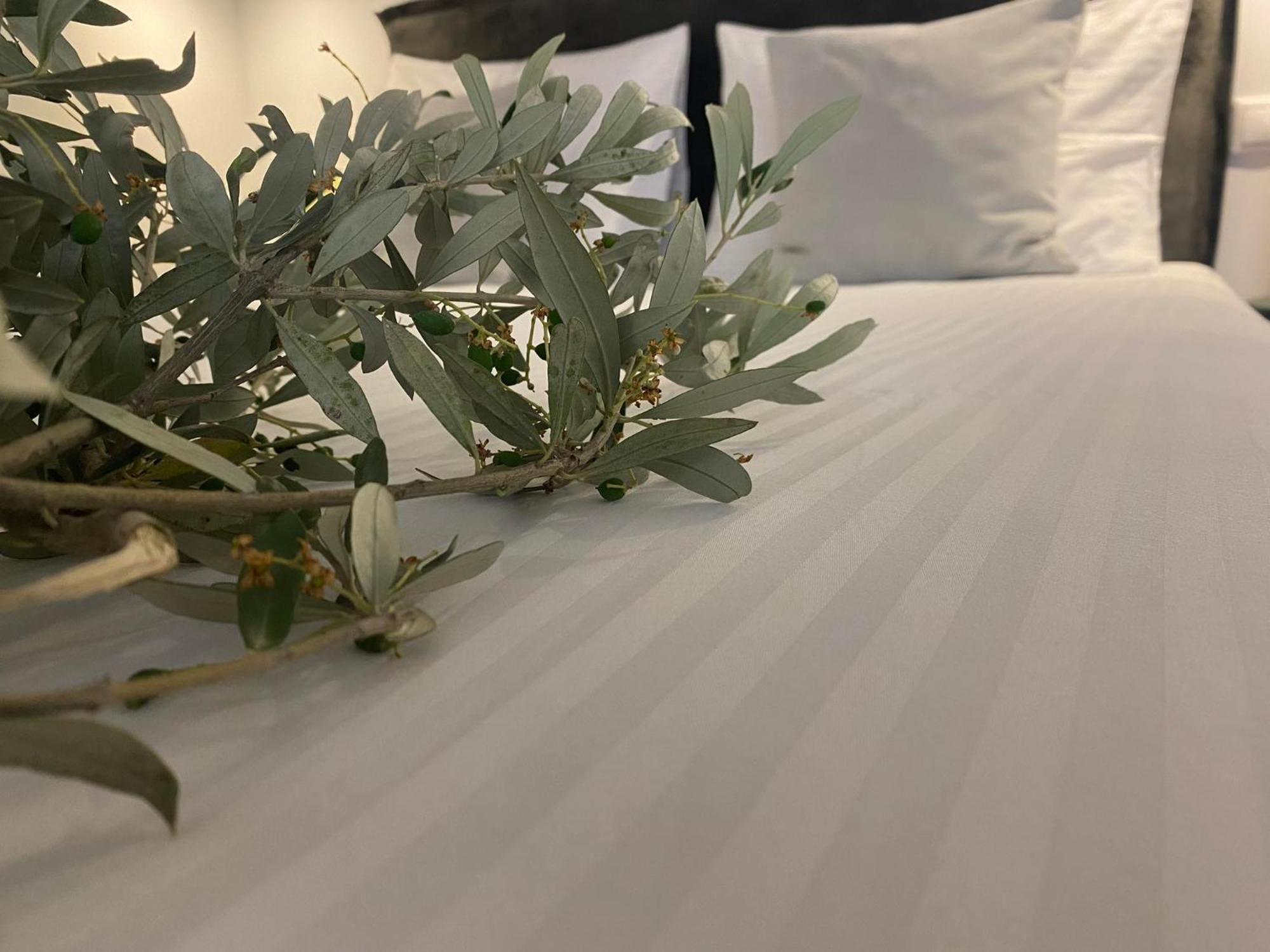 Oniropetra Luxury Suites Armakha Exteriér fotografie